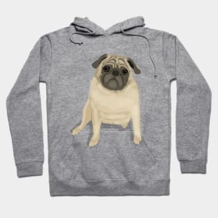 Pug Illustration Hoodie